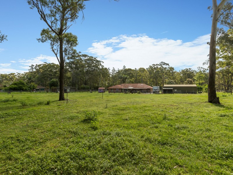 8 Kingfisher Close, Medowie NSW 2318