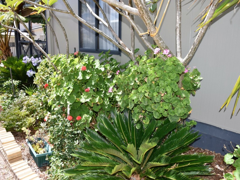 108/88 Holdom Road, Karuah NSW 2324