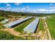 1352 Booral Road, Girvan NSW 2425