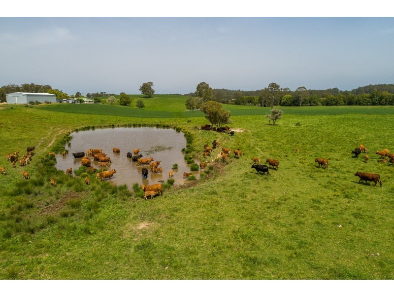 1352 Booral Road, Girvan NSW 2425