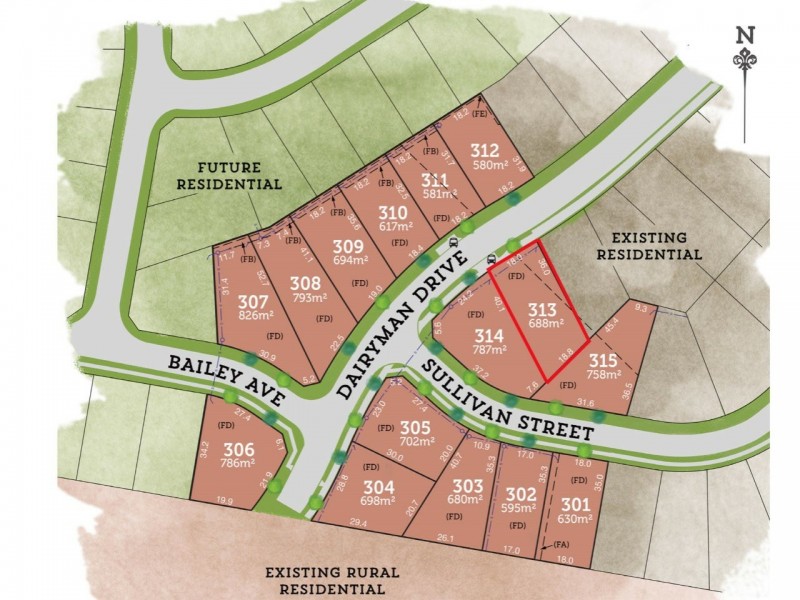 Lot 313 Dairyman Drive, Raymond Terrace NSW 2324