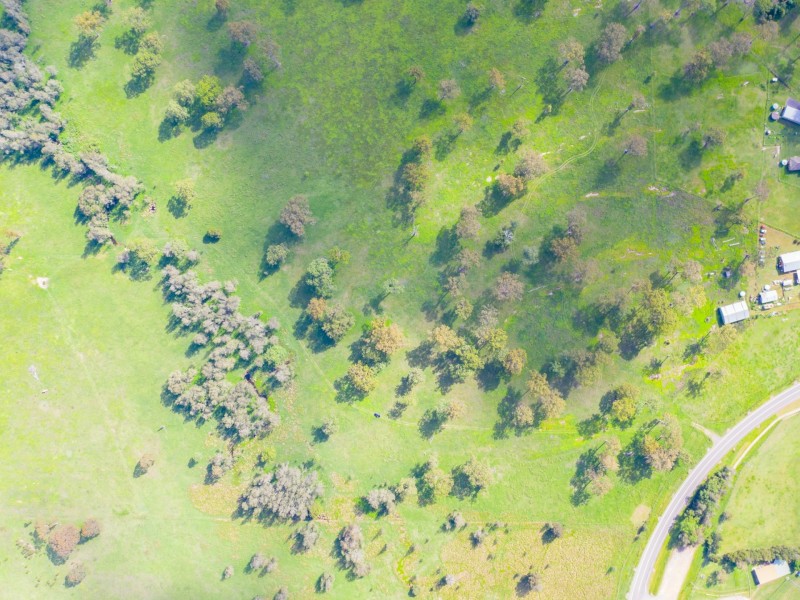 1029 Seaham Road, Seaham NSW 2324