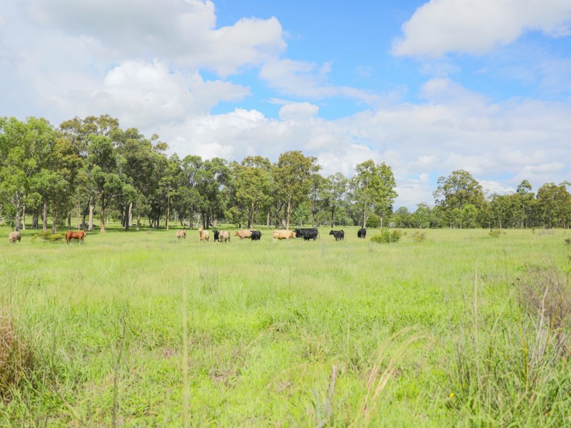 1029 Seaham Road, Seaham NSW 2324