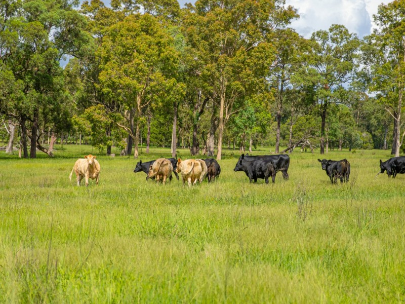 1029 Seaham Road, Seaham NSW 2324