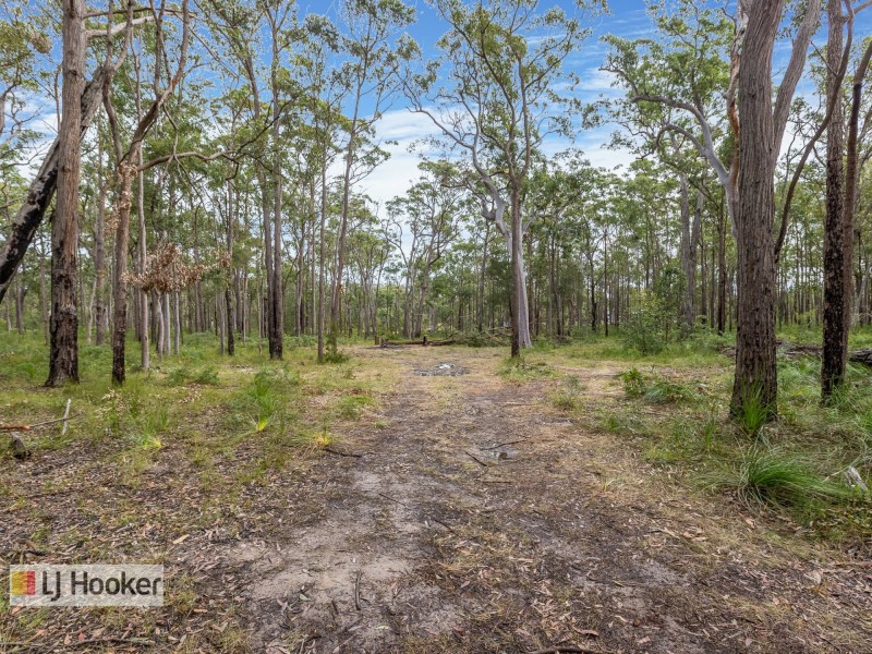 Lot 107 Wharf Road, The Branch NSW 2425