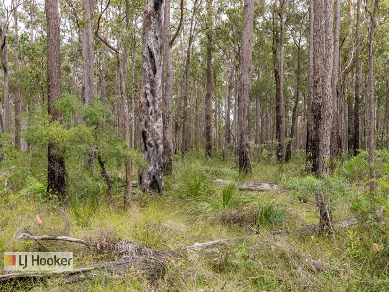 Lot 107 Wharf Road, The Branch NSW 2425