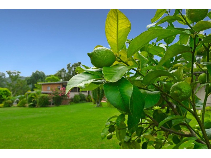 4 Gloucester Street, Stroud NSW 2425