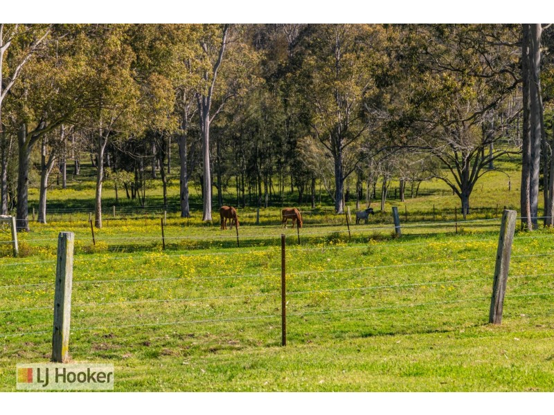 667 Seaham Road, Nelsons Plains NSW 2324