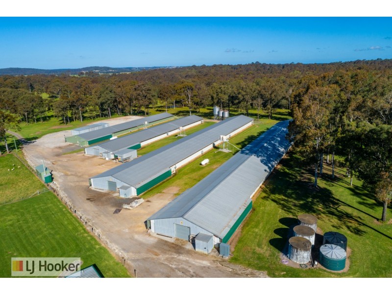 667 Seaham Road, Nelsons Plains NSW 2324