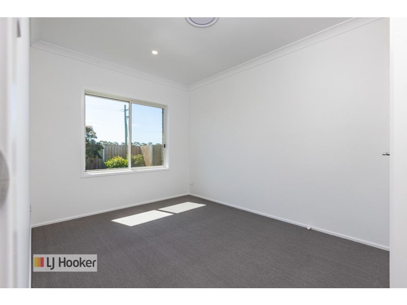 17 Mayo Crescent, Chisholm NSW 2322