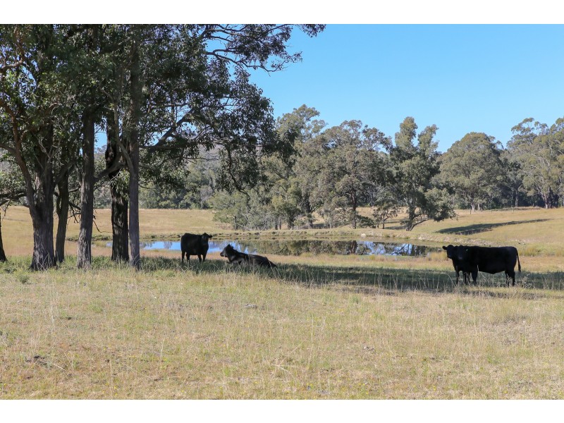 Lot 7/Lot 16 Hanleys Creek Road, Dungog NSW 2420
