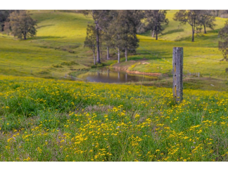 Lot 2/Lot 16 Hanleys Creek Road, Dungog NSW 2420
