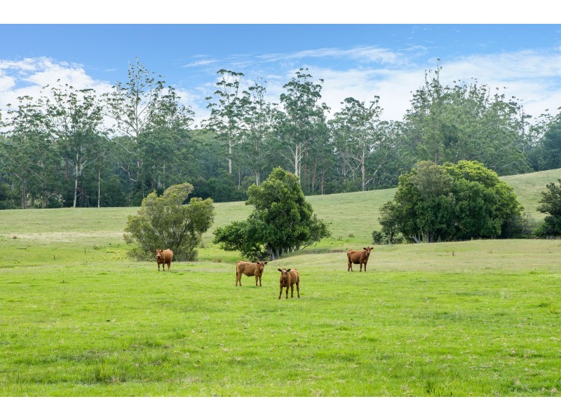 Lot 15/Lot 16 Hanleys Creek Road, Dungog NSW 2420