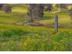 Lot 14/Lot 16 Hanleys Creek Road, Dungog NSW 2420