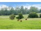 Lot 14/Lot 16 Hanleys Creek Road, Dungog NSW 2420