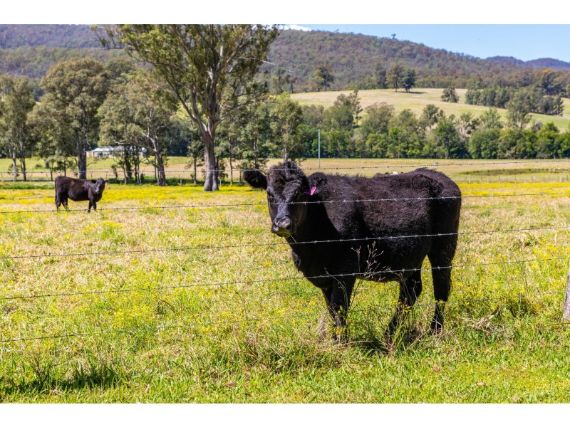 Lot 17/Lot 16 Hanleys Creek Road, Dungog NSW 2420
