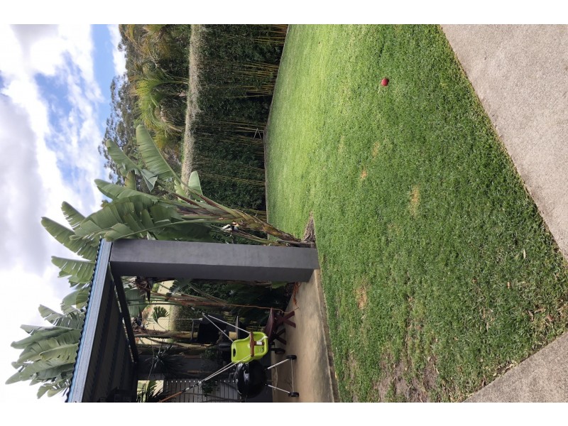 24 Coachwood Drive, Medowie NSW 2318