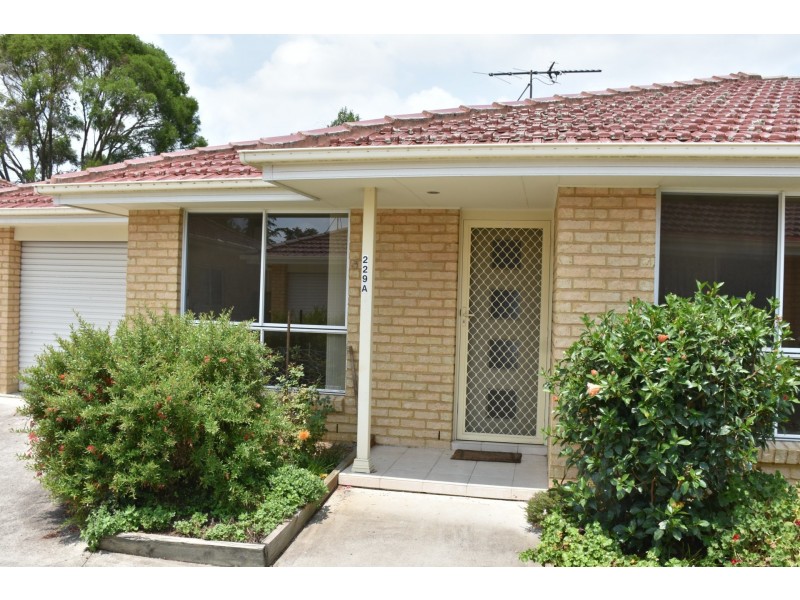 229A Adelaide Street, Raymond Terrace NSW 2324
