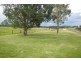 106 Cabbage Tree Road, Williamtown NSW 2318