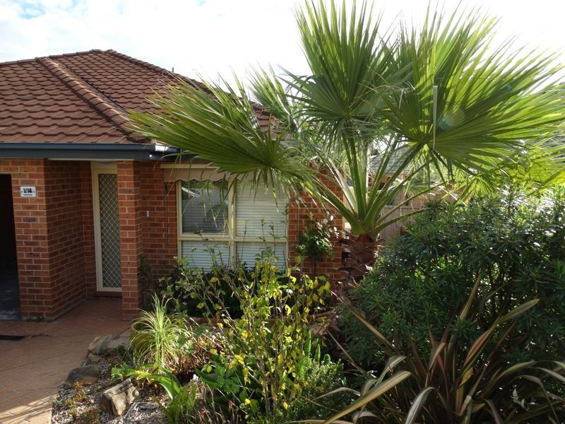 1/14 Harriet Close, Raymond Terrace NSW 2324