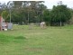 11 Fairlands Road, Medowie NSW 2318