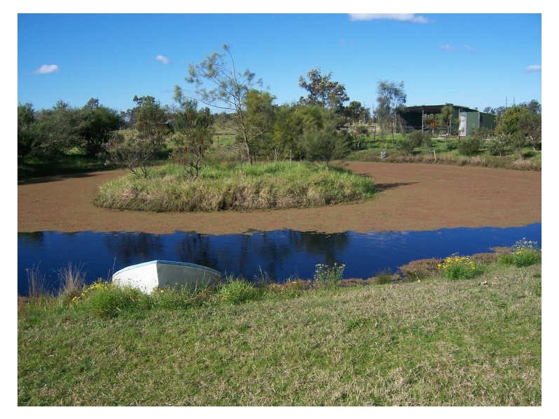 631 Cabbage Tree Road, Williamtown NSW 2318