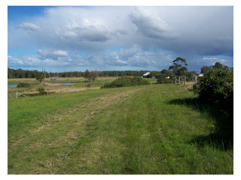 631 Cabbage Tree Road, Williamtown NSW 2318