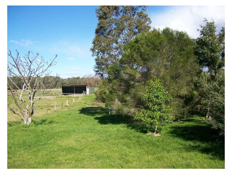 631 Cabbage Tree Road, Williamtown NSW 2318