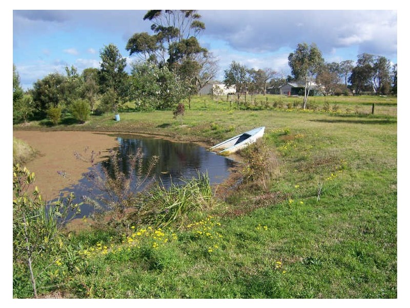 631 Cabbage Tree Road, Williamtown NSW 2318