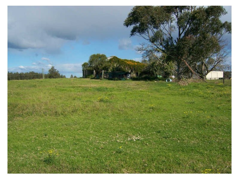 631 Cabbage Tree Road, Williamtown NSW 2318