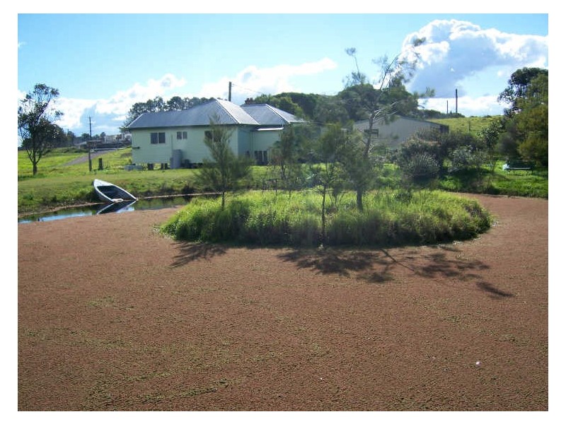 631 Cabbage Tree Road, Williamtown NSW 2318