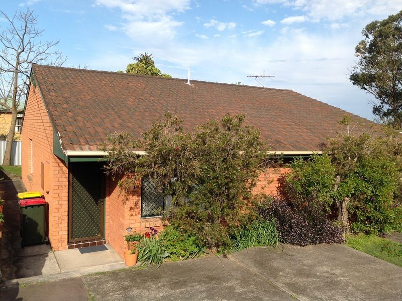 1/7 Truscott Street, Raymond Terrace NSW 2324