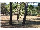 Lot 7 Porphyry Street, Seaham NSW 2324
