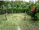 1 Glenelg Street, Raymond Terrace NSW 2324
