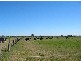 240 Scotch Creek Road, Millers Forest NSW 2324