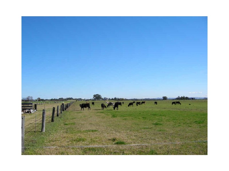 240 Scotch Creek Road, Millers Forest NSW 2324