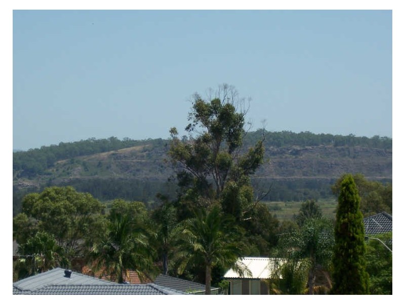 16 Elliott Close, Raymond Terrace NSW 2324