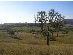 575 Stanhope Road, Stanhope NSW 2335