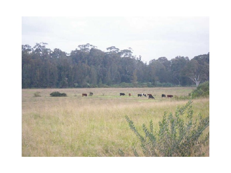 Lot 722 Wahroonga Street, Raymond Terrace NSW 2324
