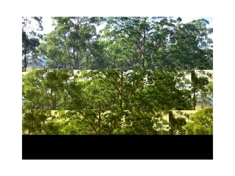 626 Markwell Road, Bulahdelah NSW 2423