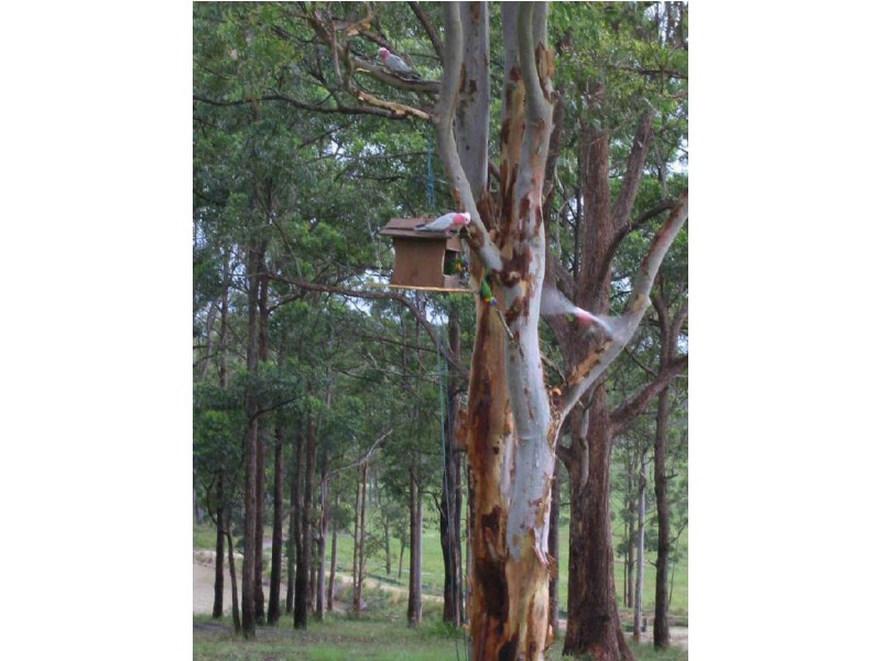 626 Markwell Road, Bulahdelah NSW 2423