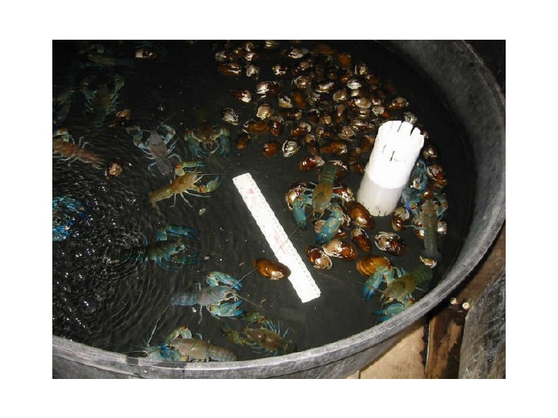 626 Markwell Road, Bulahdelah NSW 2423