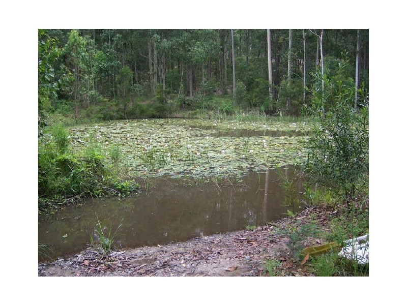 251 Browns Road, Black Hill NSW 2322