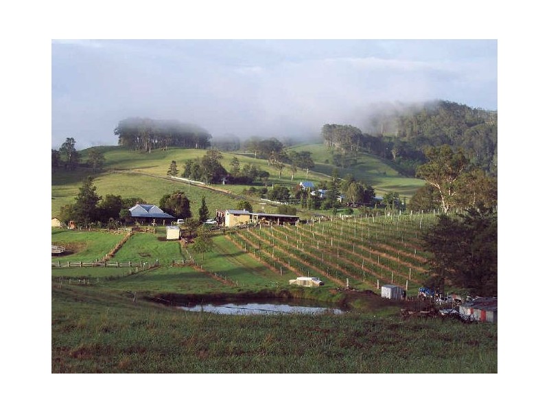 524 Bucketts Way, Stroud NSW 2425