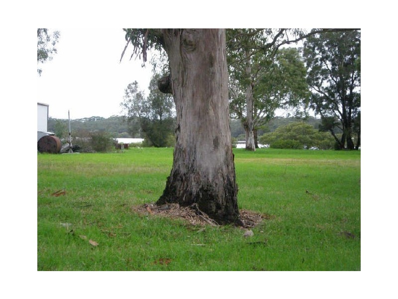 1524 Moffats Road, Swan Bay NSW 2324