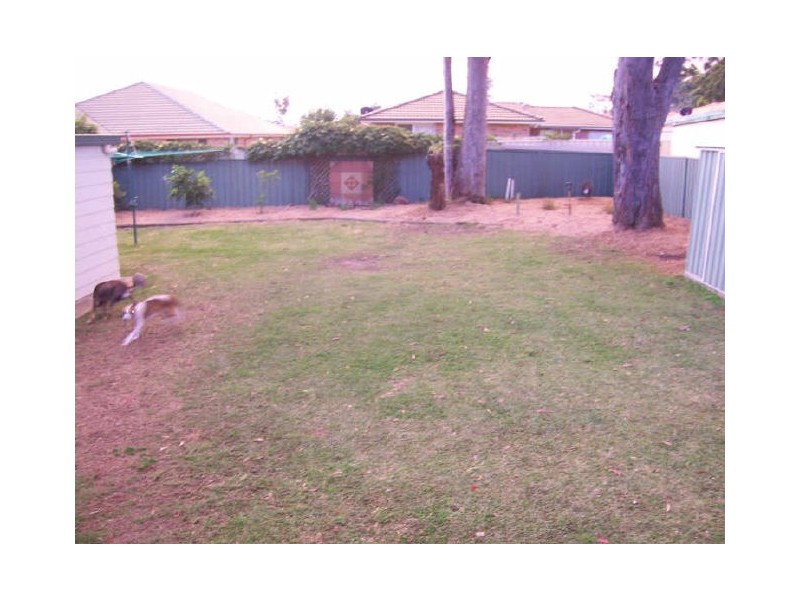 43 Silver Wattle Drive, Medowie NSW 2318