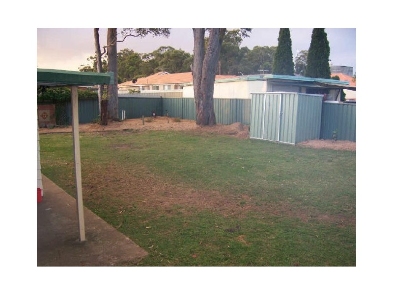 43 Silver Wattle Drive, Medowie NSW 2318