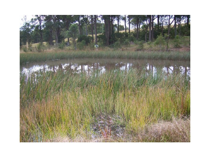 322 Limeburners Creek Road, Clarence Town NSW 2321