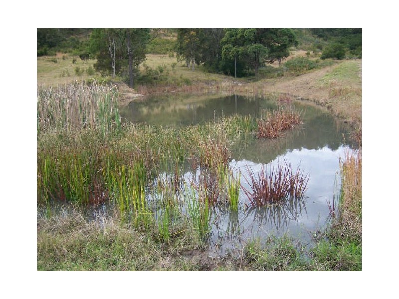 322 Limeburners Creek Road, Clarence Town NSW 2321