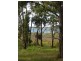 Lot 1411 Moffats Road, Swan Bay NSW 2324